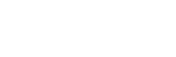 Uber Lyft Inspection